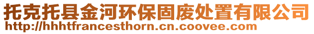 托克托縣金河環(huán)保固廢處置有限公司