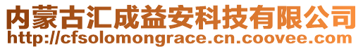 內蒙古匯成益安科技有限公司