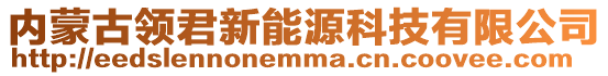 內(nèi)蒙古領(lǐng)君新能源科技有限公司