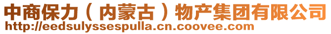 中商保力（內(nèi)蒙古）物產(chǎn)集團(tuán)有限公司