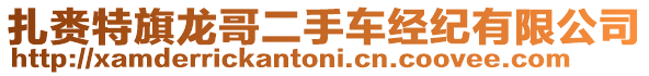 扎賚特旗龍哥二手車經(jīng)紀(jì)有限公司