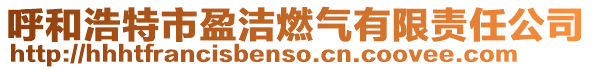 呼和浩特市盈潔燃?xì)庥邢挢?zé)任公司