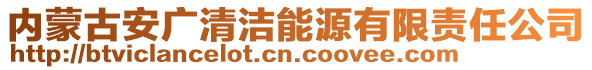 內蒙古安廣清潔能源有限責任公司