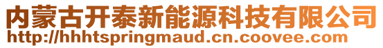 內蒙古開泰新能源科技有限公司