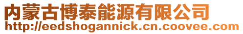 內蒙古博泰能源有限公司