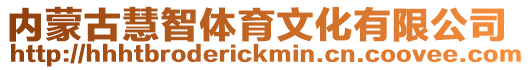 內蒙古慧智體育文化有限公司