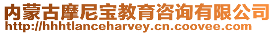 內蒙古摩尼寶教育咨詢有限公司