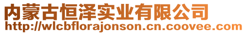 內蒙古恒澤實業有限公司