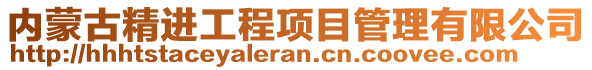 內(nèi)蒙古精進工程項目管理有限公司