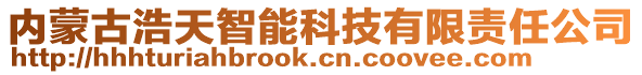 內(nèi)蒙古浩天智能科技有限責(zé)任公司