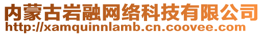 內蒙古巖融網絡科技有限公司