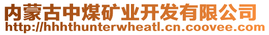 內(nèi)蒙古中煤礦業(yè)開發(fā)有限公司