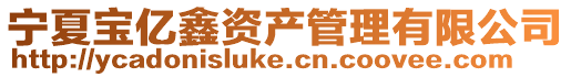 寧夏寶億鑫資產管理有限公司