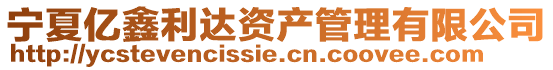 寧夏億鑫利達資產管理有限公司