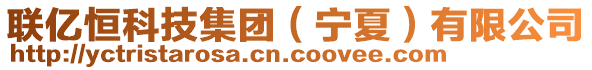 聯(lián)億恒科技集團(tuán)（寧夏）有限公司