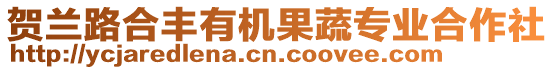 賀蘭路合豐有機(jī)果蔬專業(yè)合作社