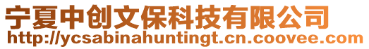 寧夏中創(chuàng)文保科技有限公司