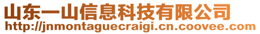 山東一山信息科技有限公司