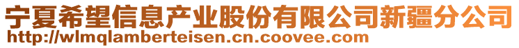 寧夏希望信息產(chǎn)業(yè)股份有限公司新疆分公司