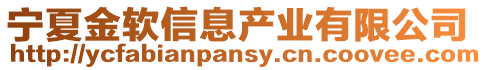 寧夏金軟信息產(chǎn)業(yè)有限公司