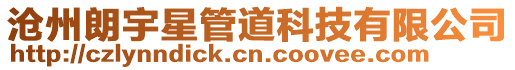 滄州朗宇星管道科技有限公司