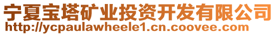 寧夏寶塔礦業(yè)投資開發(fā)有限公司