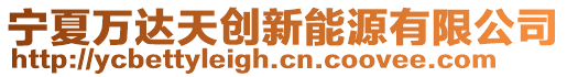 宁夏万达天创新能源有限公司