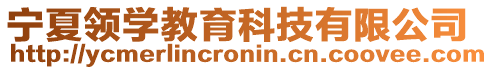 寧夏領(lǐng)學(xué)教育科技有限公司