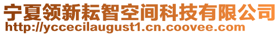 寧夏領(lǐng)新耘智空間科技有限公司