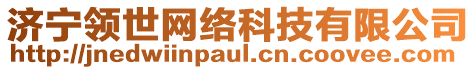 济宁领世网络科技有限公司