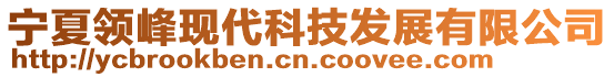 寧夏領(lǐng)峰現(xiàn)代科技發(fā)展有限公司