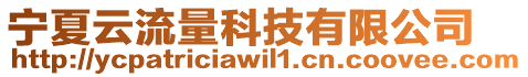 宁夏云流量科技有限公司