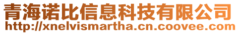 青海諾比信息科技有限公司