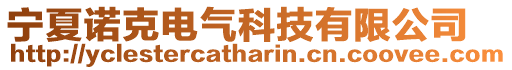 寧夏諾克電氣科技有限公司