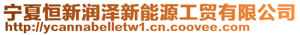 寧夏恒新潤澤新能源工貿有限公司