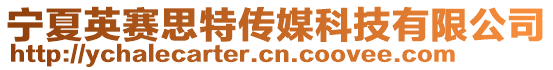 寧夏英賽思特傳媒科技有限公司