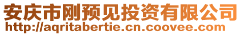 安慶市剛預(yù)見(jiàn)投資有限公司