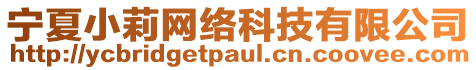 寧夏小莉網(wǎng)絡(luò)科技有限公司