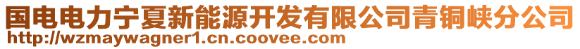 国电电力宁夏新能源开发有限公司青铜峡分公司