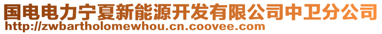 国电电力宁夏新能源开发有限公司中卫分公司