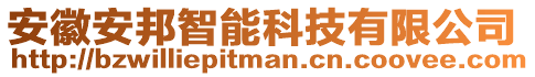 安徽安邦智能科技有限公司