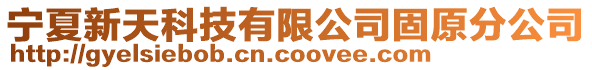 寧夏新天科技有限公司固原分公司