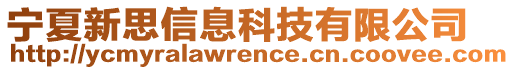 寧夏新思信息科技有限公司