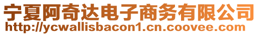 寧夏阿奇達電子商務有限公司