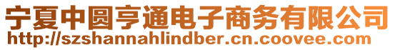 寧夏中圓亨通電子商務(wù)有限公司