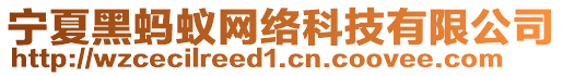 寧夏黑螞蟻網(wǎng)絡(luò)科技有限公司