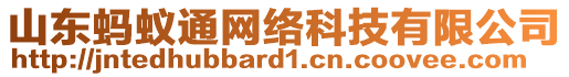 山東螞蟻通網(wǎng)絡科技有限公司