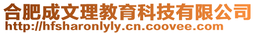 合肥成文理教育科技有限公司