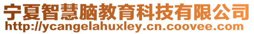 寧夏智慧腦教育科技有限公司