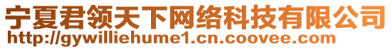 寧夏君領天下網絡科技有限公司